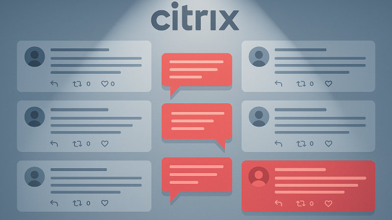 Le critiche a Citrix: la denuncia degli esperti